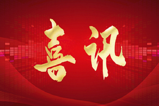 喜訊丨建經(jīng)咨詢獲評臺州市第一批服務(wù)業(yè)領(lǐng)軍企業(yè)